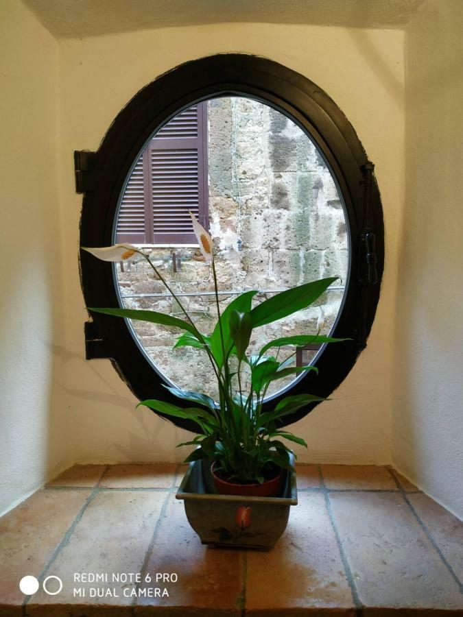 Dimora Montebello Pitigliano Extérieur photo